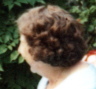 1970 zussen Kok