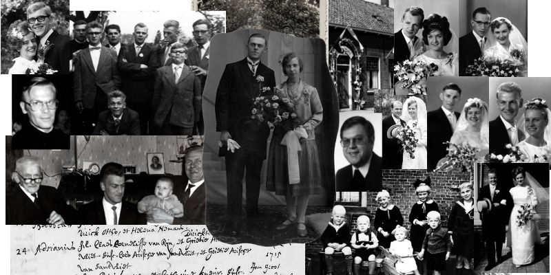 collage-van-rijn
