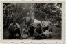 1934 druiven krenten